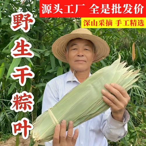 包粽子专用的大号野生粽叶