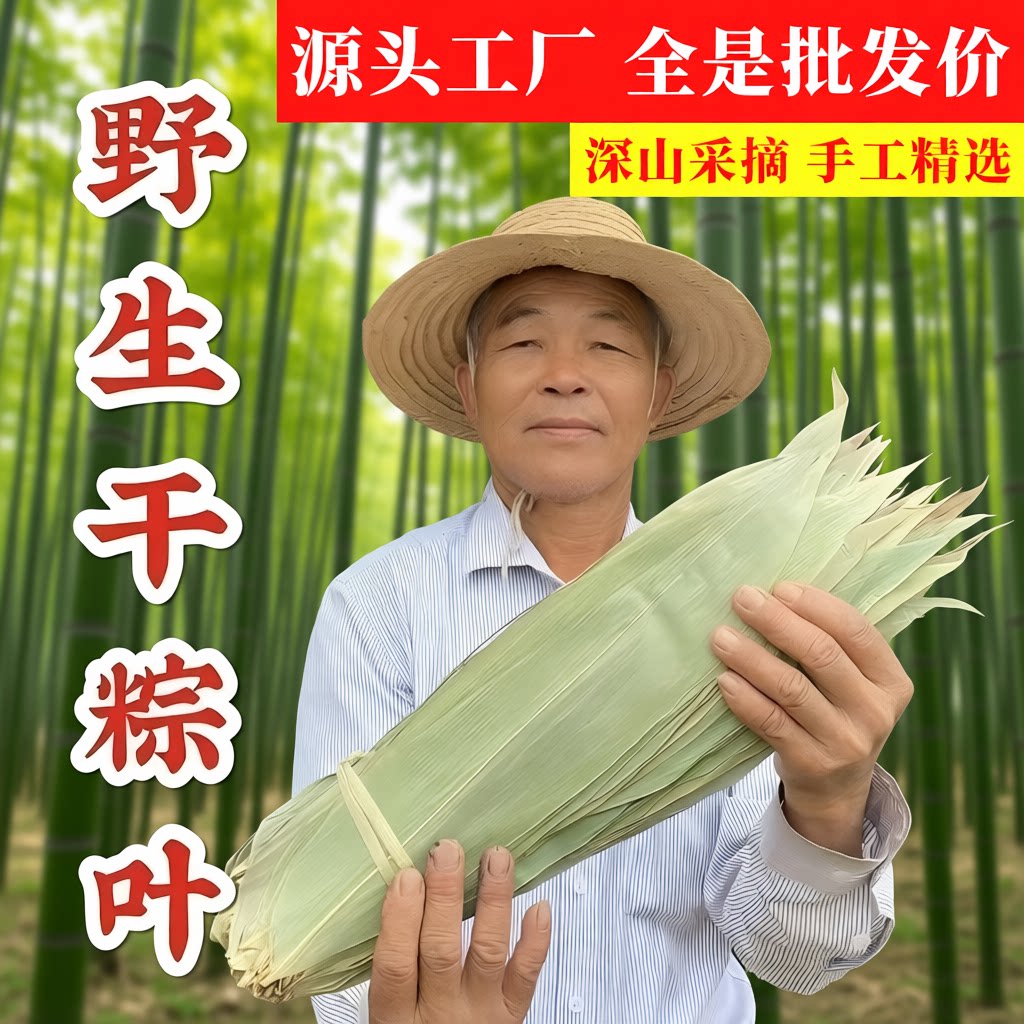 包粽子专用的大号野生粽叶图片