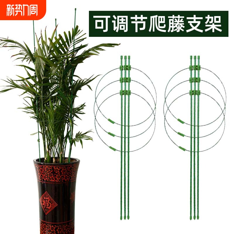 花盆爬藤架花架铁线莲月季园艺架子藤本植物攀爬架花卉防倒支撑杆