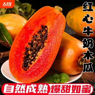正宗红心牛奶木瓜新鲜应当季水果现摘青皮番木瓜树上熟冰糖心整箱