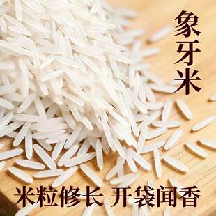 长粒米正宗猫牙米农家长粒香米5斤1斤品质一级新大米优质精选新鲜