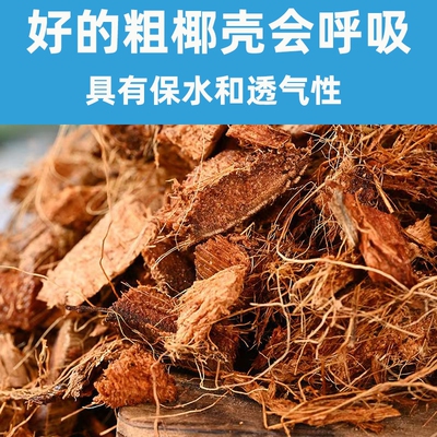 粗椰壳大颗粒椰糠透气好基质兰花蝴蝶兰蓝莓月季蝴蝶兰盆栽营养土