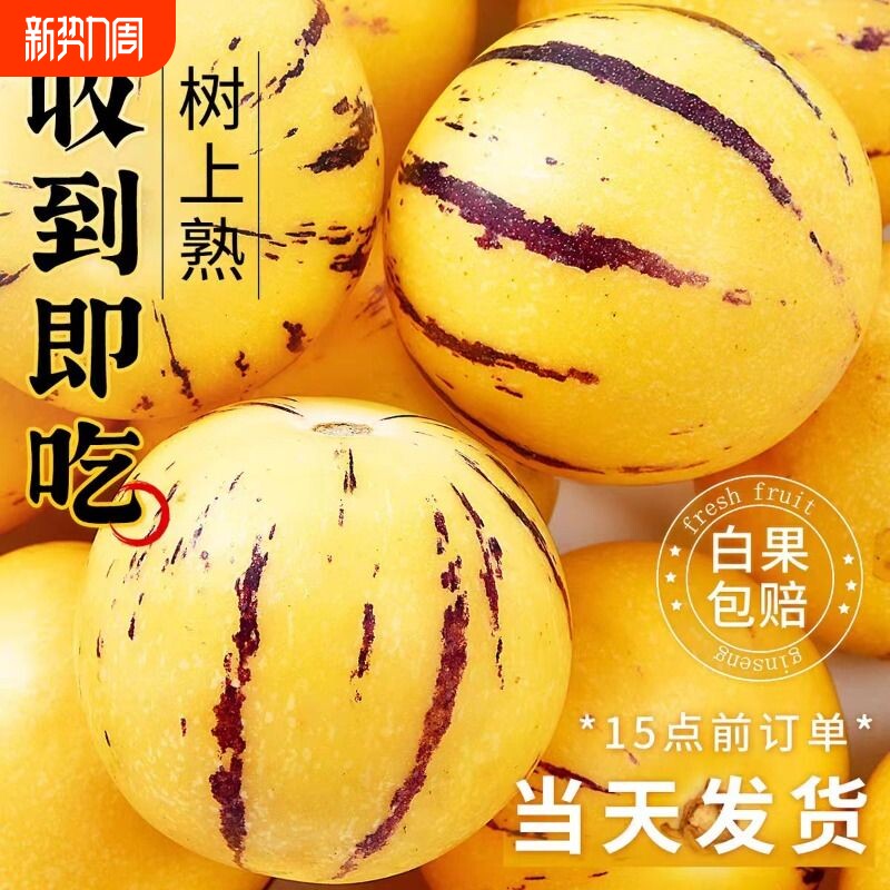 云南石林人参果新鲜水果人生果树上熟特产当季黄果肉整箱包邮直发