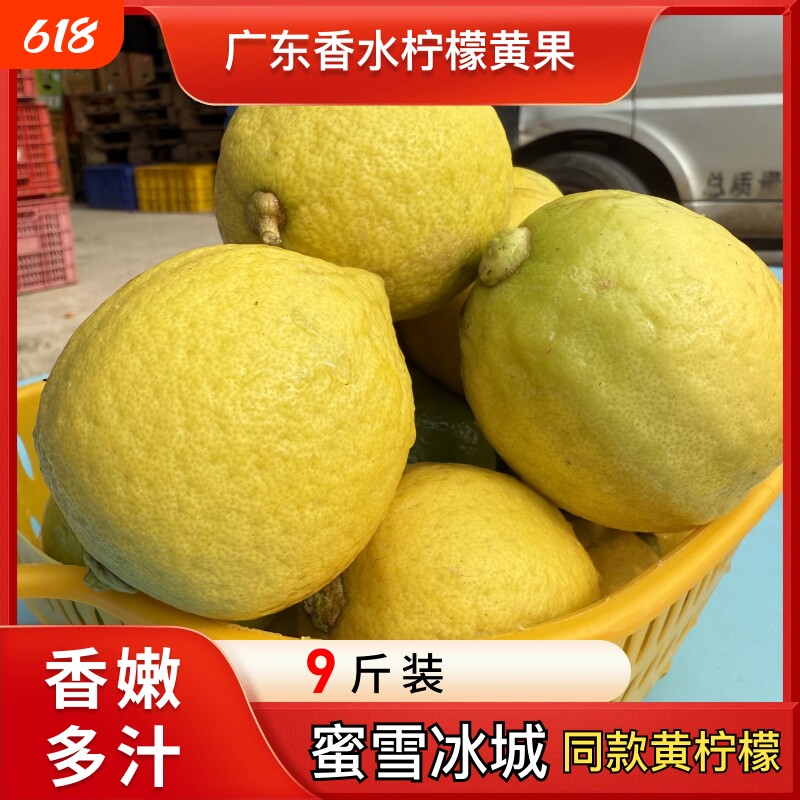 黄柠檬高山老树广西无籽整箱包邮精选一级皮薄商用奶茶店专用新鲜