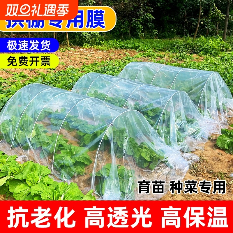 农用小拱棚专用膜四丝二膜冬季大棚塑料膜蔬菜种植无滴膜种菜透明