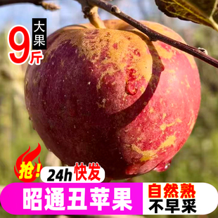 孕妇果 包邮 云南昭通糖心丑苹果水果新鲜脆甜9斤5红露富士当季 整箱