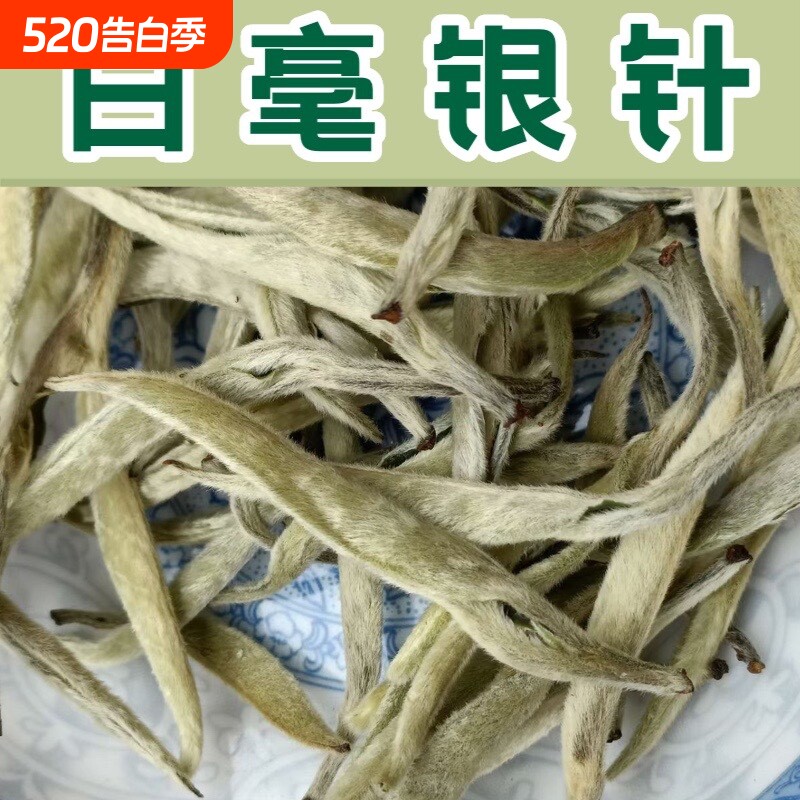 云南白茶大白毫银针大芽头单芽尖芽孢雪芽白2026年春茶500克
