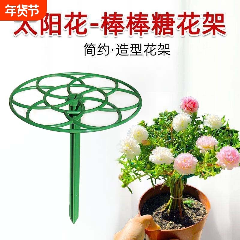 太阳花棒棒糖造型支架叶仙人掌蟹爪兰嫁接用单层多层支撑固定花架