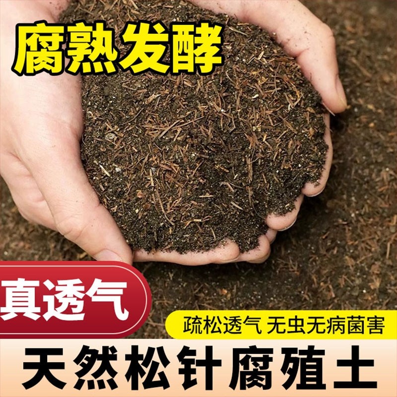 松针土君子兰专用腐叶松针土腐熟松针土营养土养花通用专用松针土