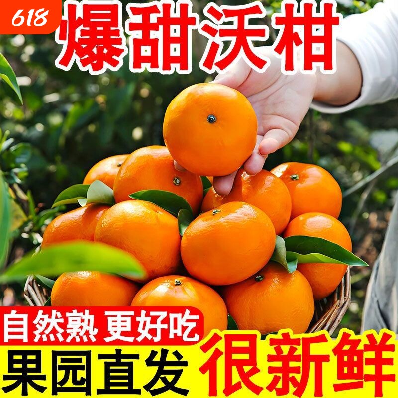 云南沃柑无渣纯甜大果产地直发