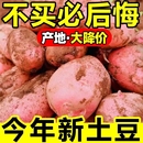 5斤马铃薯洋芋红皮土豆自提老品种 云南新鲜红皮黄心粉糯土豆9