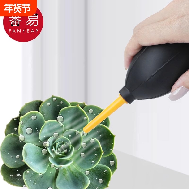 吹气球/气吹AA1sq0-多肉除尘洗耳吸尘吹电脑键相机镜头单反清洁,鲜花速递/花卉仿真/绿植园艺,其它园艺用品,淘宝优惠券,粉丝福利购,淘宝优惠卷