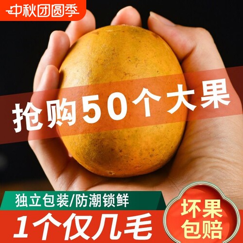 低温脱水黄金罗汉果干果大果散装茶包白肉泡水罗汉果茶小包装