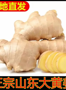 山东大姜风干姜食用姜无土干姜生姜农家自种晒干新鲜正宗大块厨房