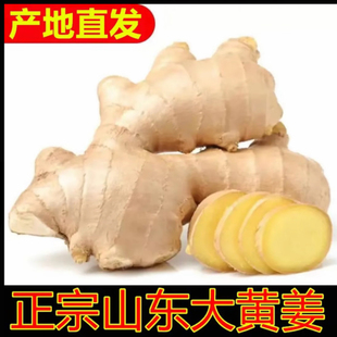 山东大姜风干姜食用姜无土干姜生姜农家自种晒干新鲜正宗大块厨房