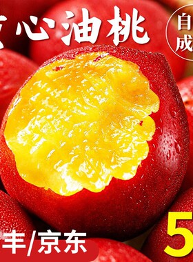 桃子正宗安徽砀山黄心油桃黄肉新鲜水果应季包邮现摘脆桃软桃整箱