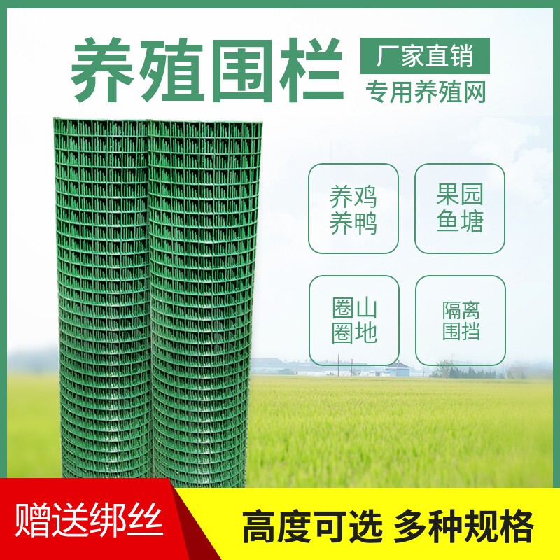 隔离铁丝网养鸡围栏网养殖网围栏护栏绿色绿网耐用铁网格网拦鸡网