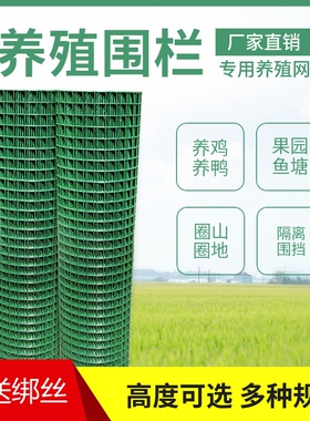 隔离铁丝网养鸡围栏网养殖网围栏护栏绿色绿网耐用铁网格网拦鸡网