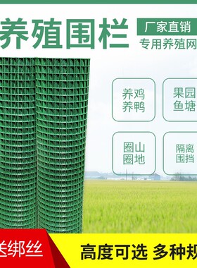栏杆户外绿网铁网格网拦鸡网
