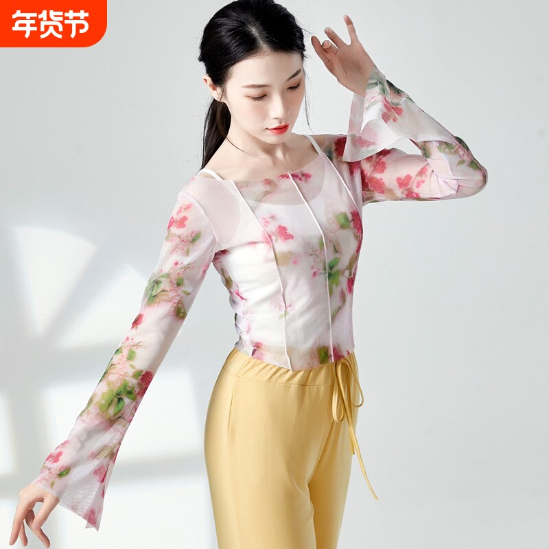 中国风印花现代民族舞蹈练功服身韵纱衣基训艺考上衣古典舞服装女