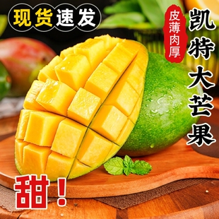 正宗凯特芒芒果新鲜当季水果大芒果攀枝花澳芒青整箱包邮客服在线
