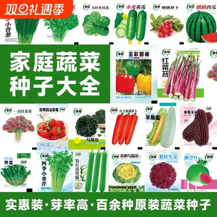 买3发6包四季播种蔬菜种子青菜香菜白菜生菜小葱阳台盆栽水果种植