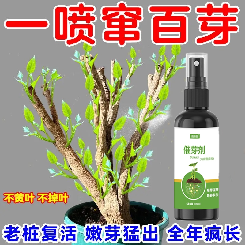 【一喷爆新芽】植物催芽剂老桩促发芽月季三角梅发财树优芽素通用