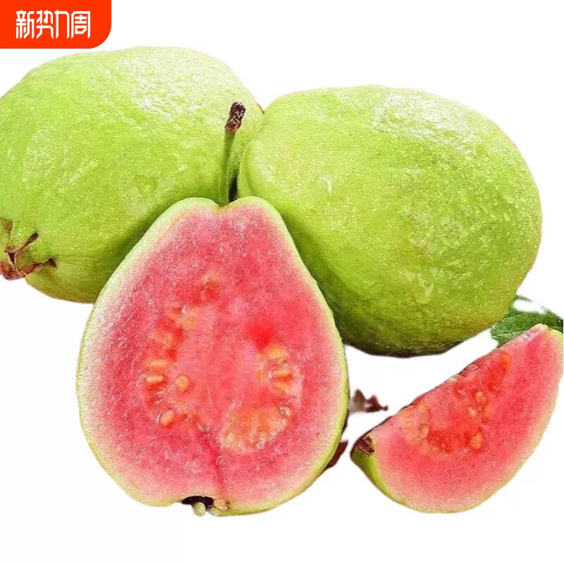 胭脂红番石榴低糖广西红心芭乐软糯香甜低糖红心芭乐