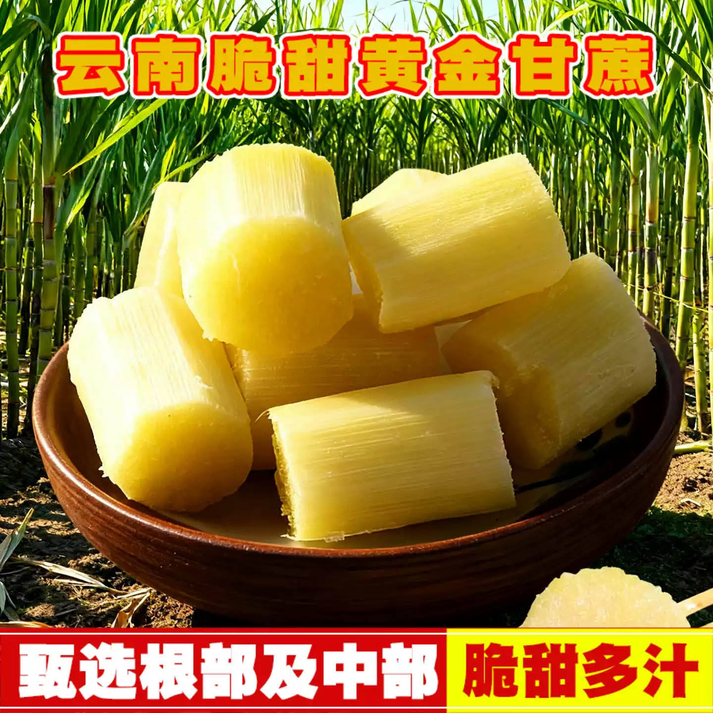 正宗云南黄金脆皮甘蔗当季新鲜水果脆甜黄皮甘蔗批发甜杆竿蔗干蔗,水产肉类/新鲜蔬果/熟食,甘蔗,淘宝优惠券,粉丝福利购,淘宝优惠卷