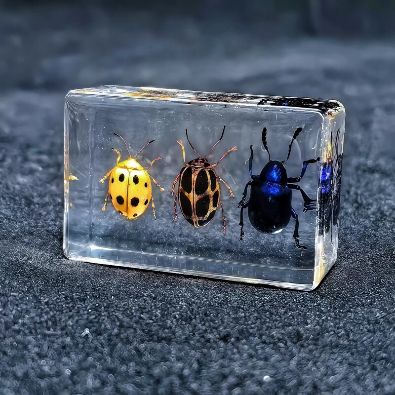 人工琥珀透明树脂昆虫标本蚂蚁蜂甲虫螺玩具生物螃蟹蝎子海星蜘蛛