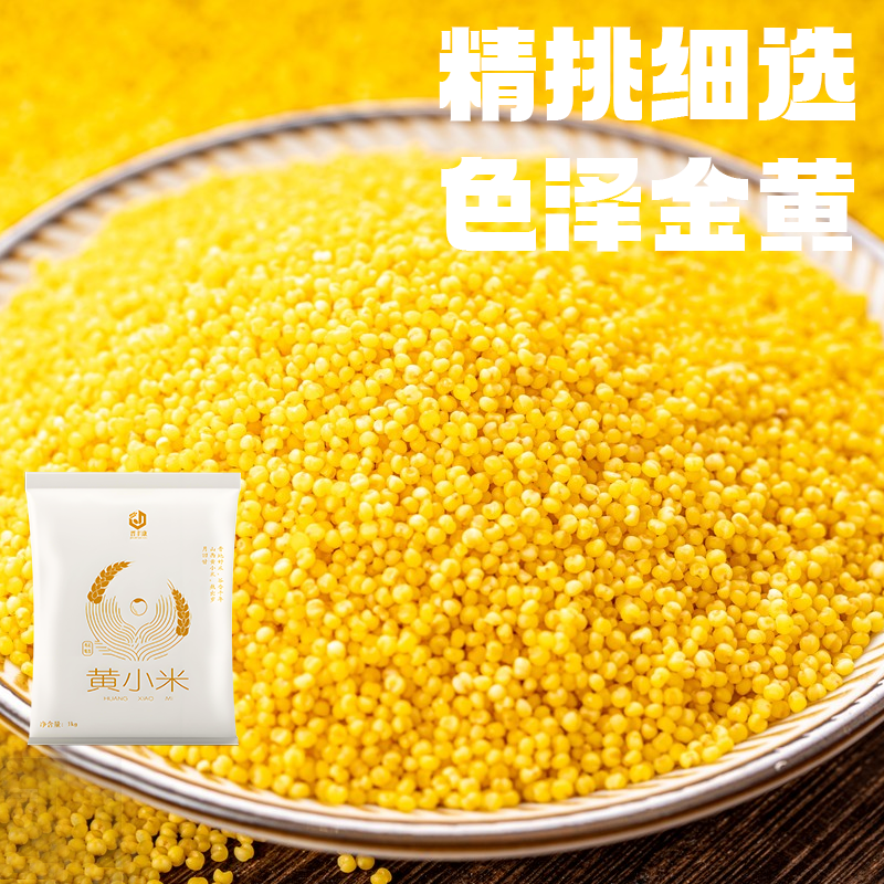 山西小米黄小米1kg新米农家颗粒饱满小黄米正宗养胃糯黄自产煮粥