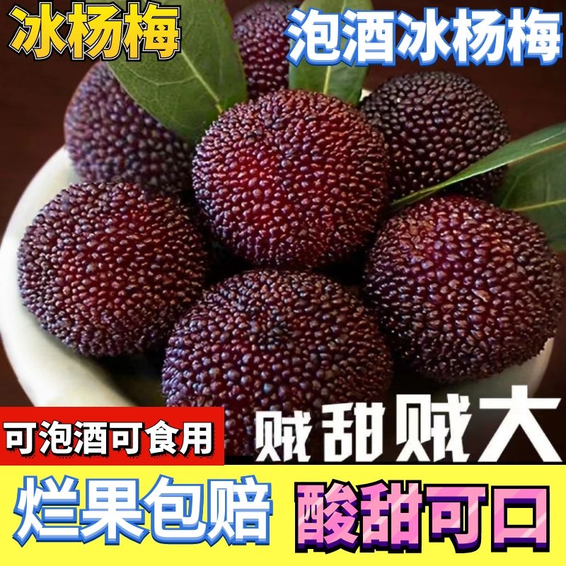 新鲜冰杨梅冷冻包邮杨梅冰冻非仙居泡酒一整箱冷链冰鲜食用便宜