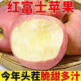 正宗高山红富士苹果当季 新鲜水果现摘整箱脆甜冰糖心丑山西苹果