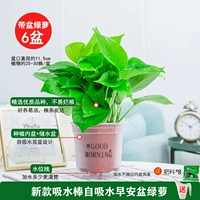 120#Новые фрукты Ранний горшок [6] Поставка для доставки бассейна +8 жир 1