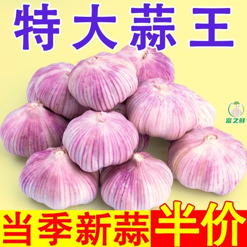 山东紫皮大蒜5斤|超1000次加购