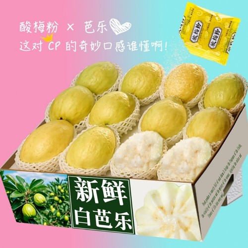 广东软糯软心奶油芭乐5斤水果软白番石榴应当季新鲜白心老树芭乐