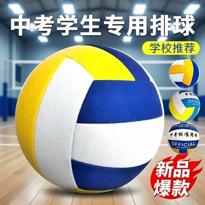 排球初中生中考专用标准款小学生5号球软式硬排比赛体育考试训练