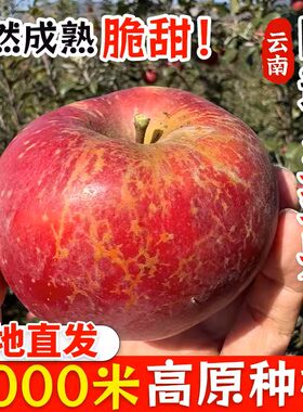 正宗云南高原冰糖心苹果脆甜