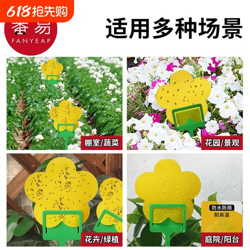 粘虫板B1pf0-小黄板双面小飞虫诱虫沾虫纸果蝇诱捕器蚊子蓟马庭院