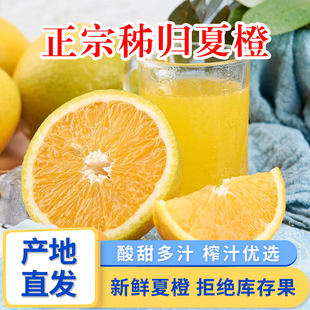 正宗秭归夏橙榨汁专用当季新鲜时令孕妇水果手剥酸甜三峡橙子脐橙
