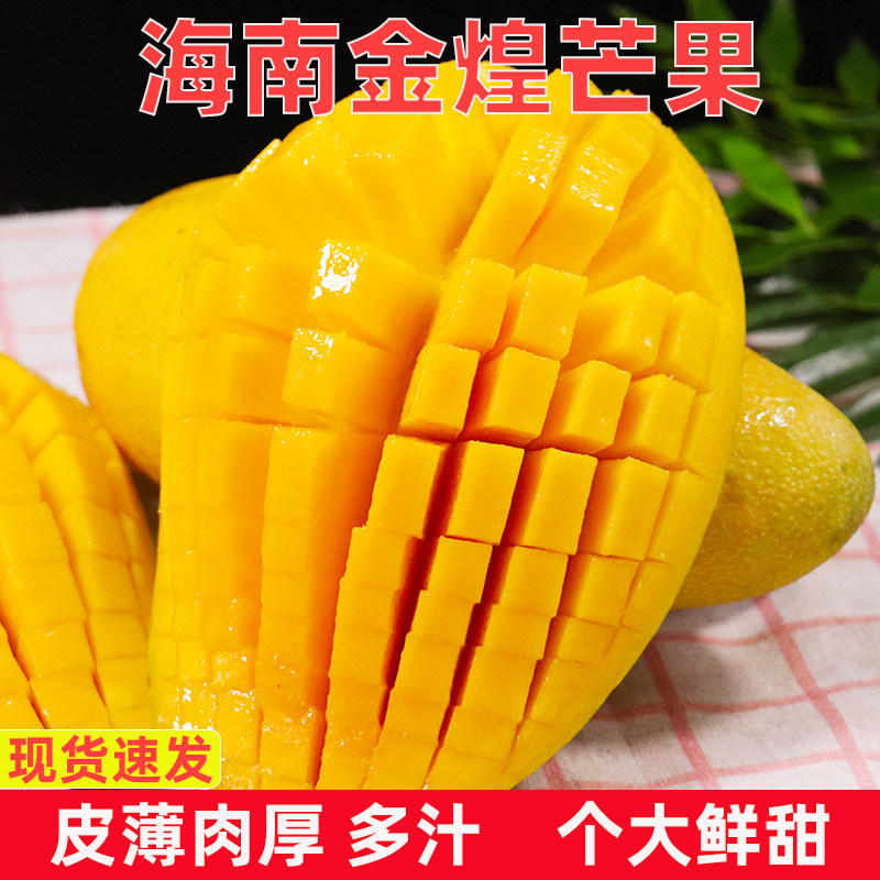 新鲜金煌芒芒果水果大青芒青皮大果应季热带当季特产整箱大果包邮
