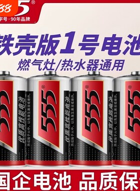 大号1号铁壳555电池热水器煤气灶