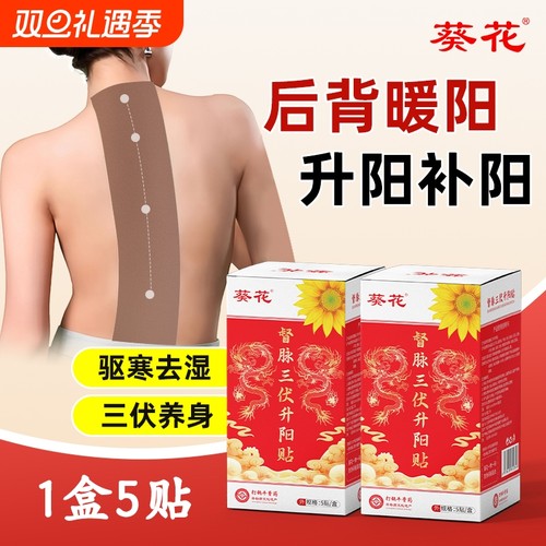 葵花三伏升阳龙骨督脉贴艾炙祛湿