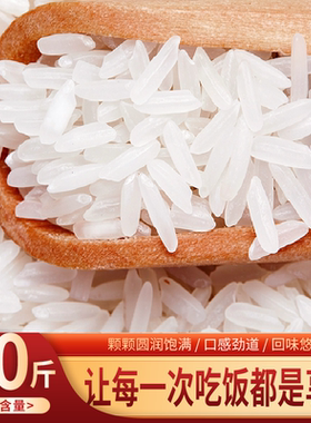 黄小惠泰玉兰茉莉香米5kg