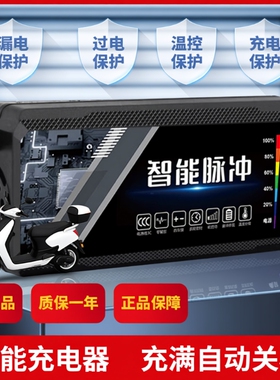 电动车充电器电瓶48v12ah60v20a72v适用于爱玛雅迪三轮铅酸石墨烯
