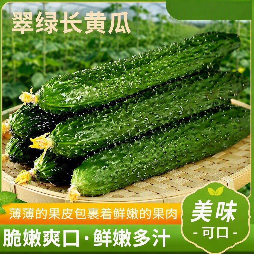寿光新鲜刺黄瓜新鲜生吃带刺黄瓜农家种植当季绿心优质新鲜蔬菜