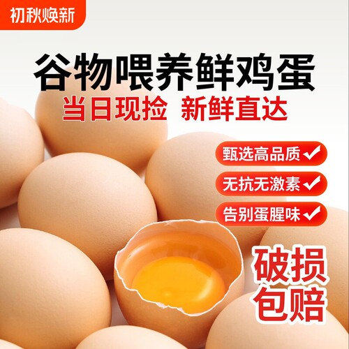 新鲜正宗农家散养土鸡蛋无激素慢养不催产30枚整箱生鲜鸡蛋笨鸡蛋