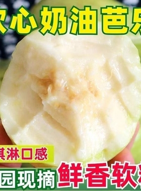 福建软糯软心芭乐5斤水果漳州当季奶油软白番石榴应季新鲜巴乐果