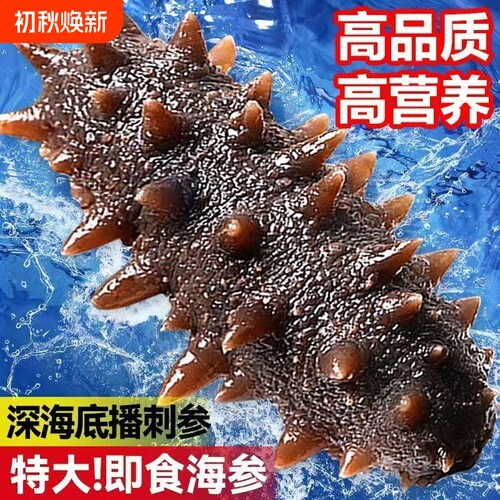 海参即食大连辽参礼盒鲜活开袋独立包装刺参非淡干正品官方旗舰店