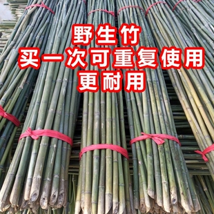 竹竿菜园搭架蔬菜黄瓜番茄豆角架杆竹篱笆小竹子细竹竿爬藤架围栏